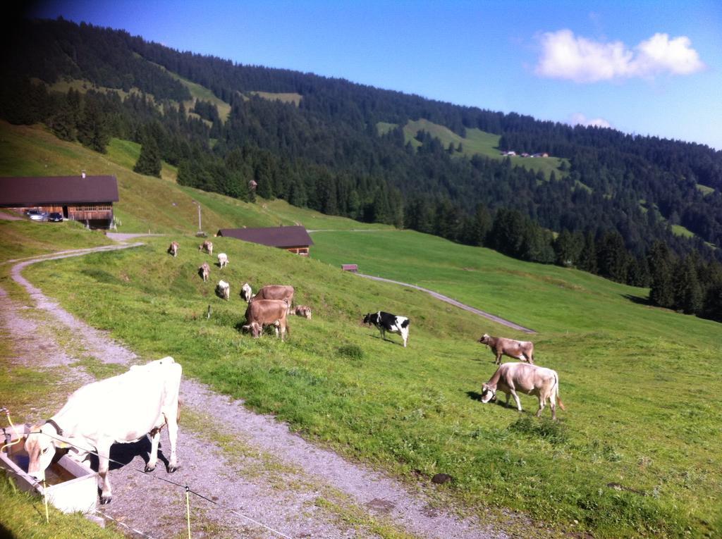 Unser Vorsaess - Klausberg Schwarzenberg im Bregenzerwald Exterior photo